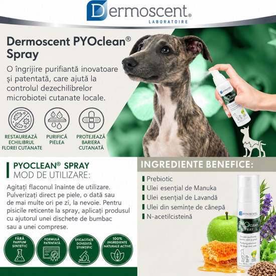 Dermoscent PYOclean Spray, spray dermatologic caini si pisici, 50 ml